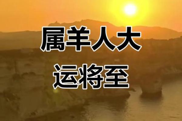 命运与属羊:探秘土命男生的个性与人生轨迹 命运与属羊:探秘土命男生的个性与人生轨迹