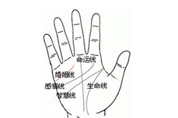 揭密童子命:细数手相中的独特特征与命运解析 揭密童子命:细数手相中的独特特征与命运解析