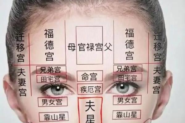 揭秘旺夫命的面相特征,识别与你命中注定的人! 揭秘旺夫命的面相特征,识别与你命中注定的人!