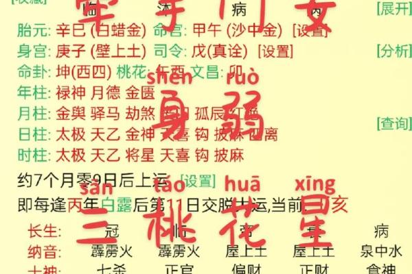 揭示阴历十月初九出生者命理缺失的秘密与补救之道 揭示阴历十月初九出生者命理缺失的秘密与补救之道