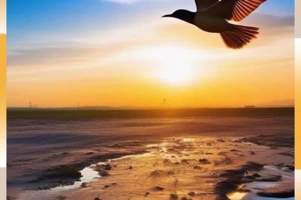 2005年属鸡之命：展翅高飞的青少年与未来的光明前景