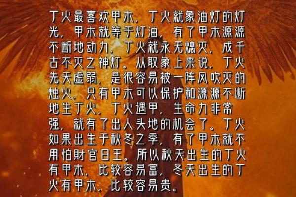 全面解析：女船底木命的五行属性与性格特征