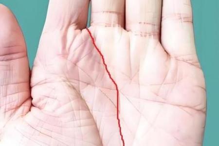 揭密童子命：细数手相中的独特特征与命运解析