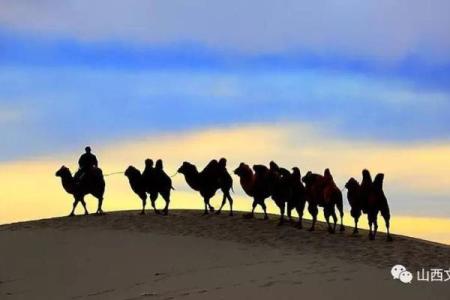 诺胡为命难保的深意：命运与抉择的博弈