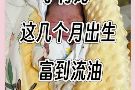 农历四月初七出生的女孩，命运与性格的美丽交织