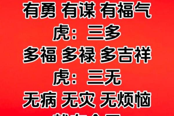 属虎与哪些生肖不合?揭秘生肖命理的深层奥秘 属虎与哪些生肖不合?揭秘生肖命理的深层奥秘