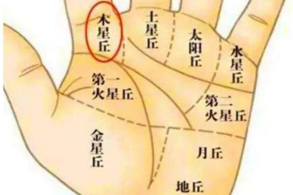 揭秘手纹上的菱形，如何解读你的命运与性格