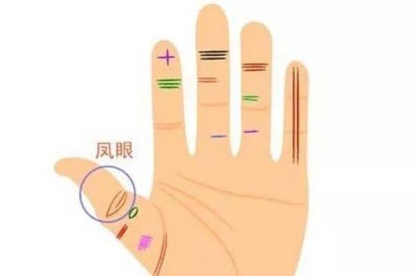 揭秘算命中的天才之命:如何识别与发挥潜力 揭秘算命中的天才之命:如何识别与发挥潜力