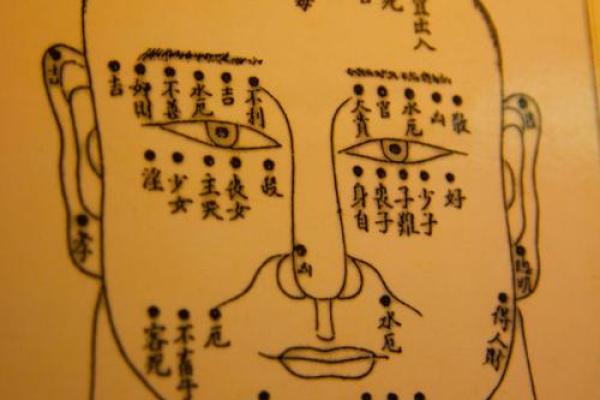 淡眉毛面相解析:揭示你的性格与命运秘密 淡眉毛面相解析:揭示你的性格与命运秘密