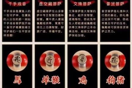 蛇命女与哪些命最配？探究她们的幸福密码！