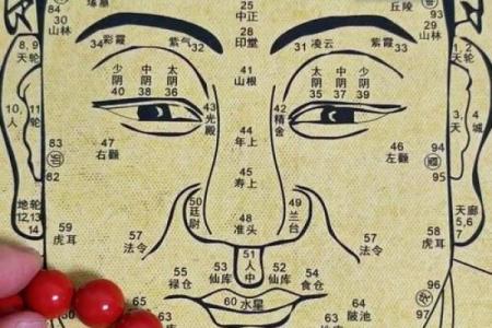 淡眉毛面相解析：揭示你的性格与命运秘密