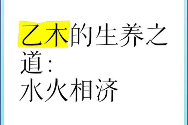 木火相生：赋予生命的艺术与命理探讨
