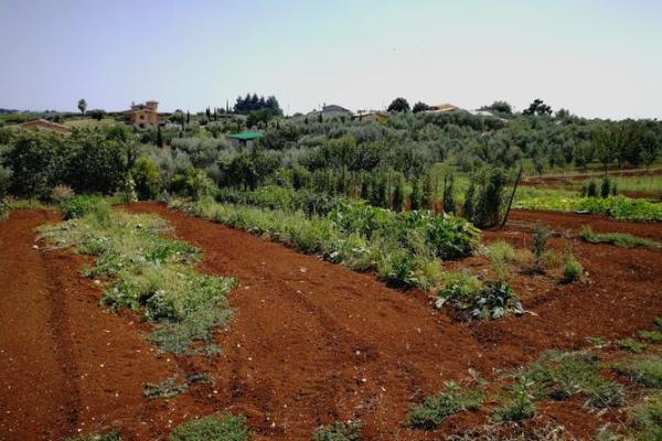 木韵生辉：打造木命公司，为您开启绿色未来之门