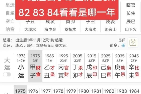 山下火命丁酉与八字命理的完美结合