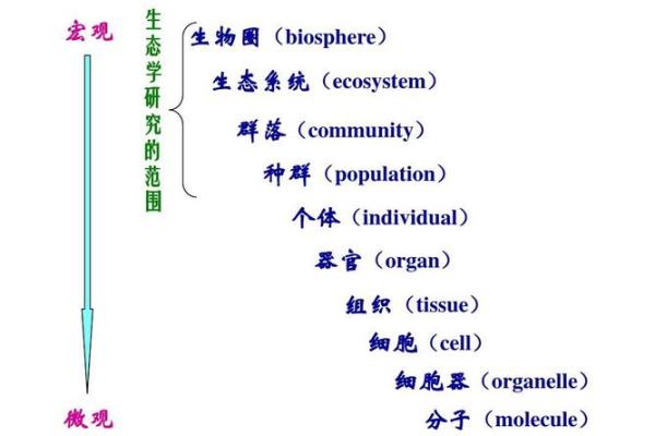 适合学生物专业的命理特征与发展方向探讨 适合学生物专业的命理特征与发展方向探讨