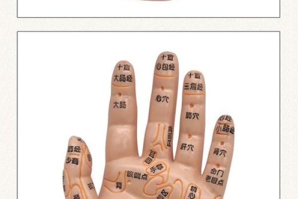 手指细意味着什么命?破解手部命理的奥秘 手指细意味着什么命?破解手部命理的奥秘