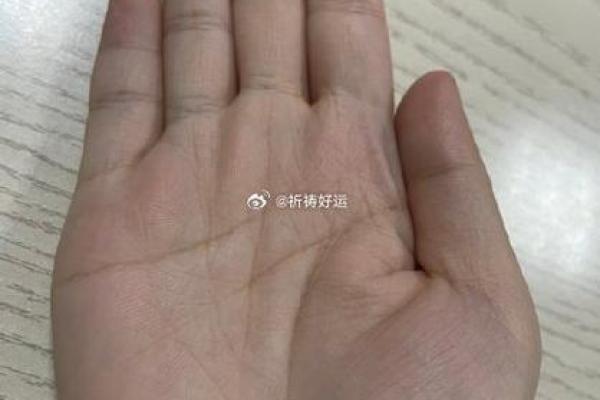 手指细意味着什么命?破解手部命理的奥秘 手指细意味着什么命?破解手部命理的奥秘