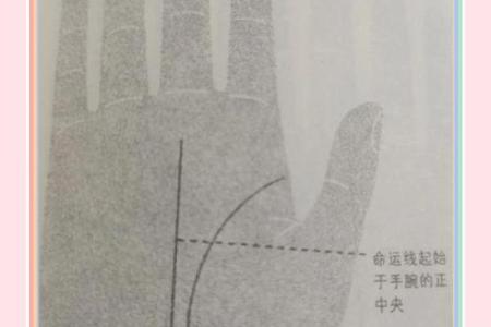 手指四线解析：命运的秘密与人生的方向