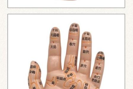 手指细意味着什么命？破解手部命理的奥秘