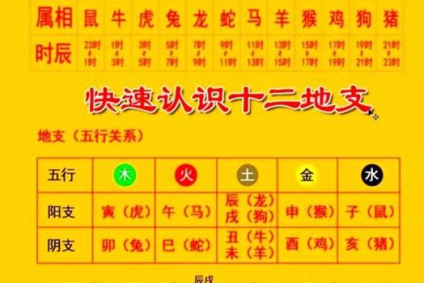 女命月柱带驿马解析：解锁命运中的行走与变迁