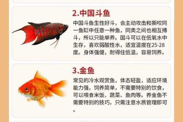 了解金鱼的习性,轻松打造家庭养鱼环境! 了解金鱼的习性,轻松打造家庭养鱼环境!