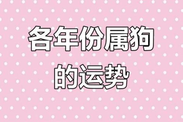 十七岁属狗的命运解析:解读你的性格与未来的机会 十七岁属狗的命运解析:解读你的性格与未来的机会