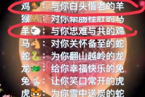 十二年轮回:生肖与命运的神秘联系 十二年轮回:生肖与命运的神秘联系