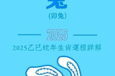 属兔女人命不好？揭秘背后的秘密与转机！