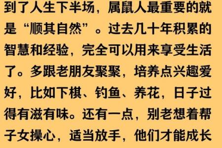深度解析：十一月属鼠女性命运特点与人生智慧
