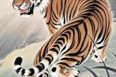 属虎的人出生在不同月份的命运解析：揭示你的潜在力量与机遇