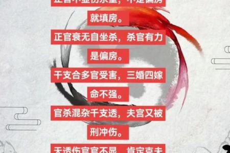 从上上吉到中吉命：命理智慧为人生导航