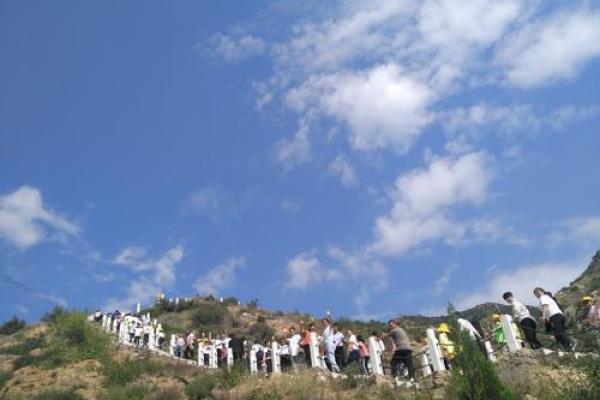 平地木遇：什么是上等命的奥秘与探寻