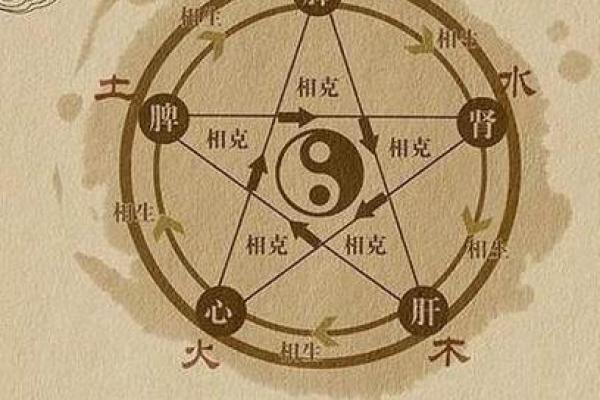 壬子年正月十六出生的鼠年命理解析与人生导航 壬子年正月十六出生的鼠年命理解析与人生导航