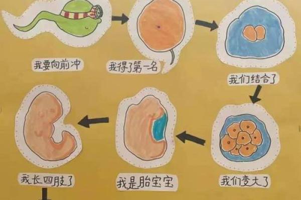 揭秘五月出生的前世命运,带你探索生命的秘密! 揭秘五月出生的前世命运,带你探索生命的秘密!