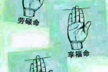 发际线与命运：揭秘少奶奶命的秘密