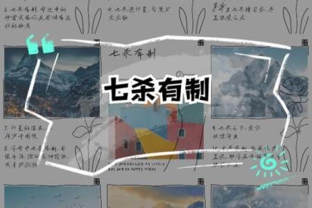 揭示女命中的食神：命运的秘密与人生的启示