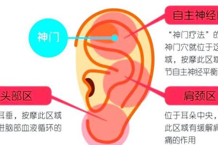 揭秘大耳垂命的奥秘：为何它被认为是好运的象征？