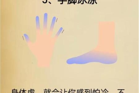 寒命人和热命人的奥秘：如何识别与自我调节