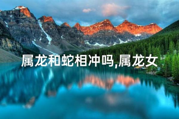 蛇与龙:命运的象征与人生态度解析 蛇与龙:命运的象征与人生态度解析