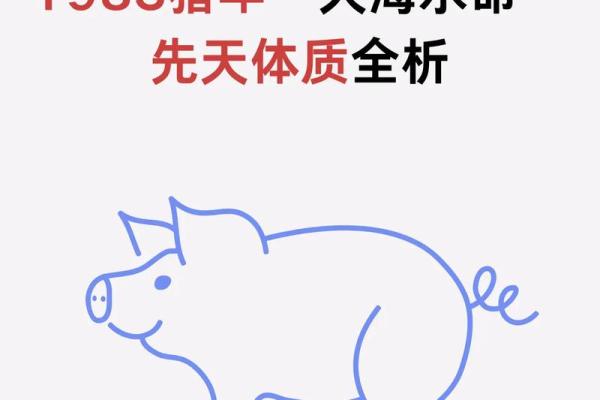 命理分析：水命如何借助五行提升运势与幸福感