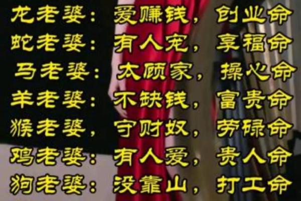 解密三虎命龙：揭示命运之启示与人生的方向