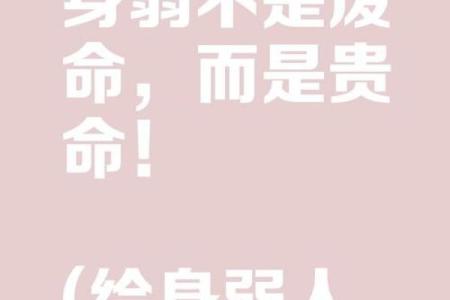 揭示网红命格：哪些特质能助你一臂之力？