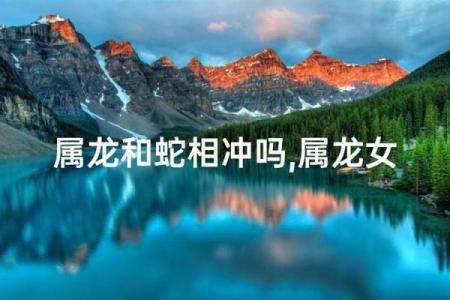 蛇与龙：命运的象征与人生态度解析