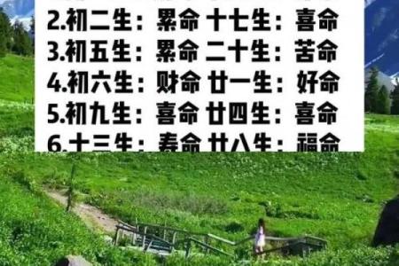 根据命理探寻人生：什么命合什么命，助你开启好运之门！