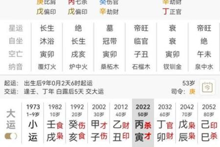 农历八月初九，93年出生的命运与性格解析
