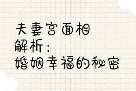 揭示九命格女命婚姻的秘密，探索命局的微妙关系