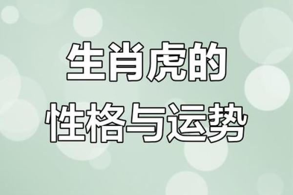 1986年属虎的命运解读:从性格到事业的全方位分析 1986年属虎的命运解读:从性格到事业的全方位分析