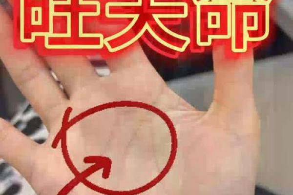揭秘:男人手纹中的旺夫命,如何影响家庭幸福? 揭秘:男人手纹中的旺夫命,如何影响家庭幸福?