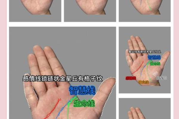 手相解析:如何通过手部特征看出男孩的命运和性格 手相解析:如何通过手部特征看出男孩的命运和性格