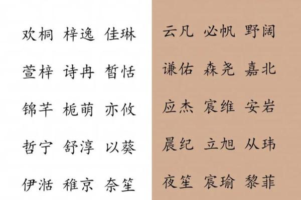 命名的重要性：如何为新生儿选择一个好名字